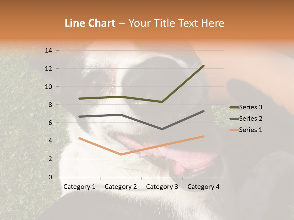A Black And White Dog Sitting On Top Of A Lush Green Field PowerPoint Template