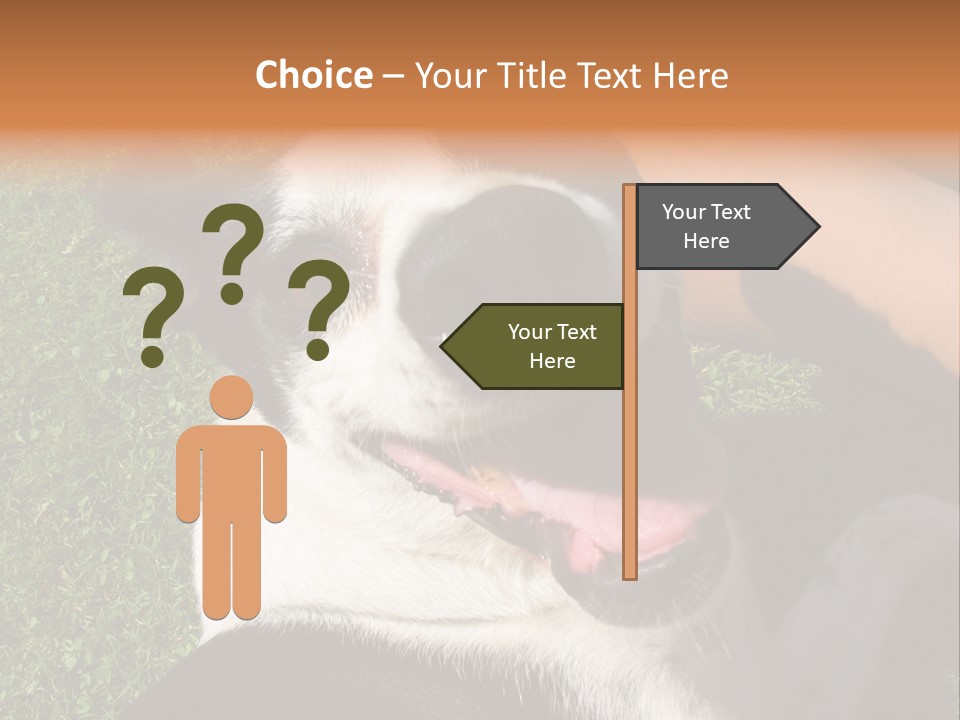 A Black And White Dog Sitting On Top Of A Lush Green Field PowerPoint Template