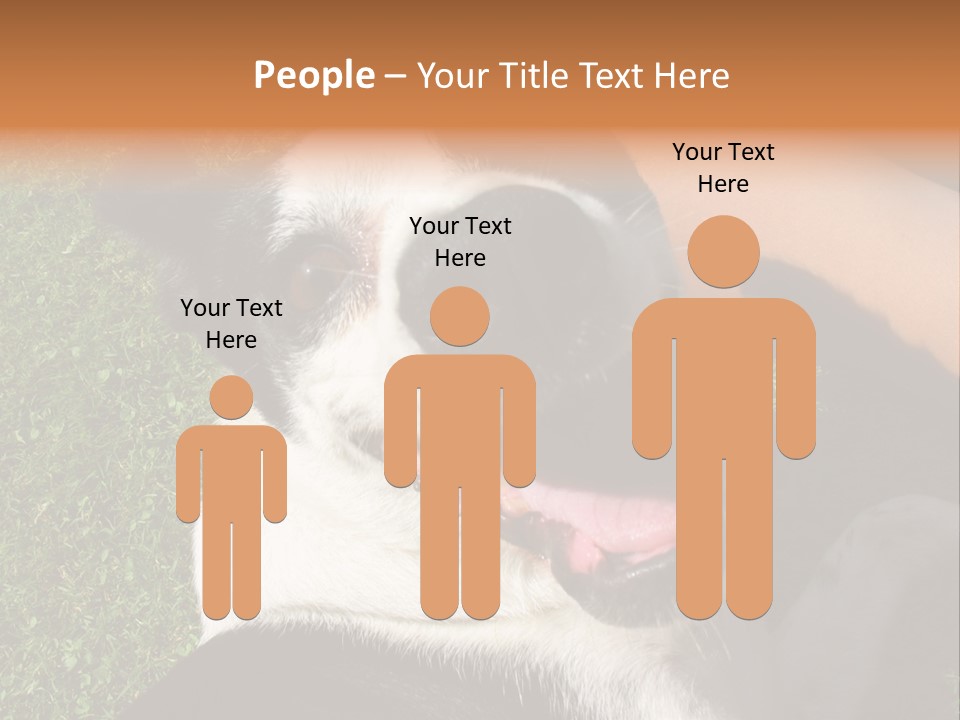 A Black And White Dog Sitting On Top Of A Lush Green Field PowerPoint Template