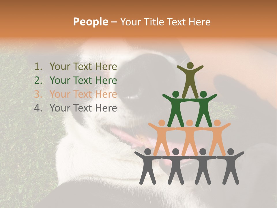 A Black And White Dog Sitting On Top Of A Lush Green Field PowerPoint Template