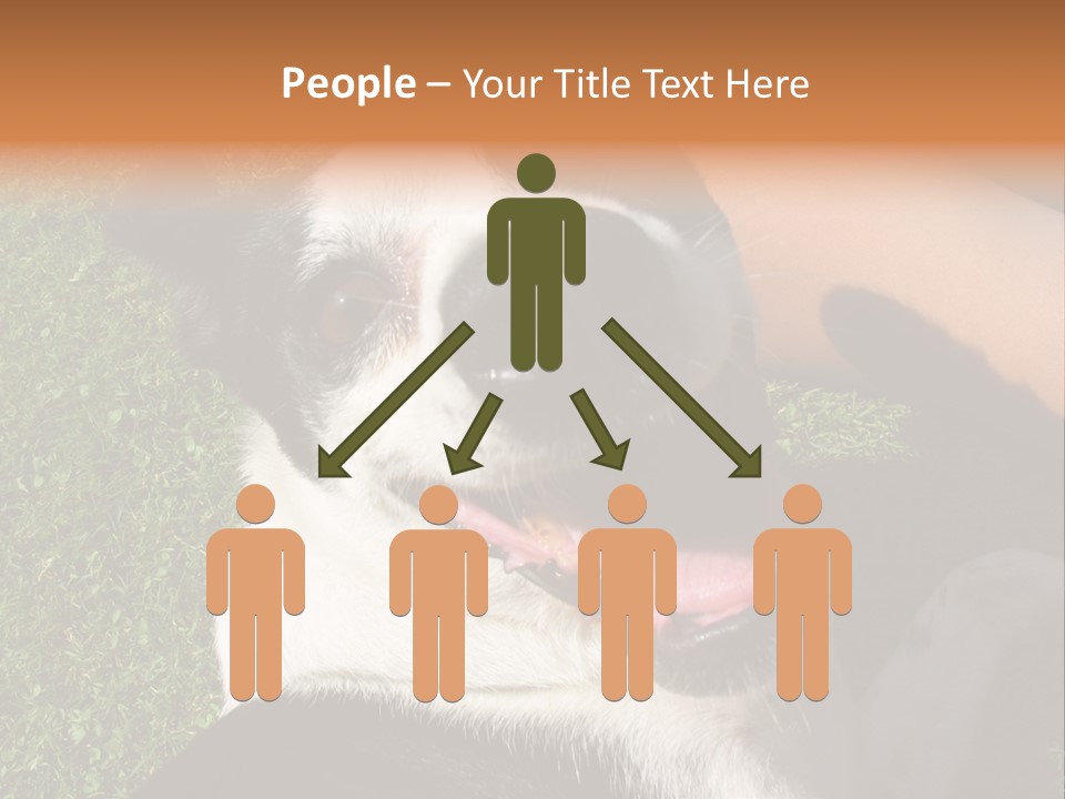 A Black And White Dog Sitting On Top Of A Lush Green Field PowerPoint Template