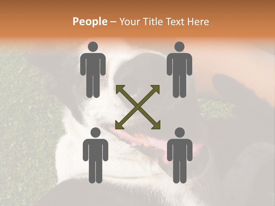 A Black And White Dog Sitting On Top Of A Lush Green Field PowerPoint Template