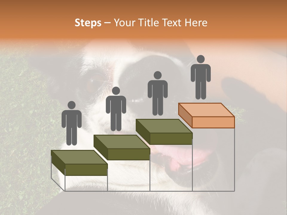 A Black And White Dog Sitting On Top Of A Lush Green Field PowerPoint Template