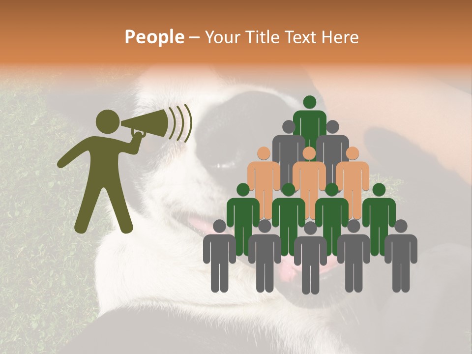 A Black And White Dog Sitting On Top Of A Lush Green Field PowerPoint Template