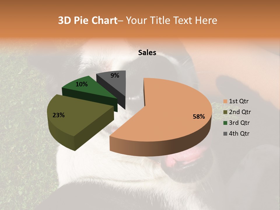 A Black And White Dog Sitting On Top Of A Lush Green Field PowerPoint Template