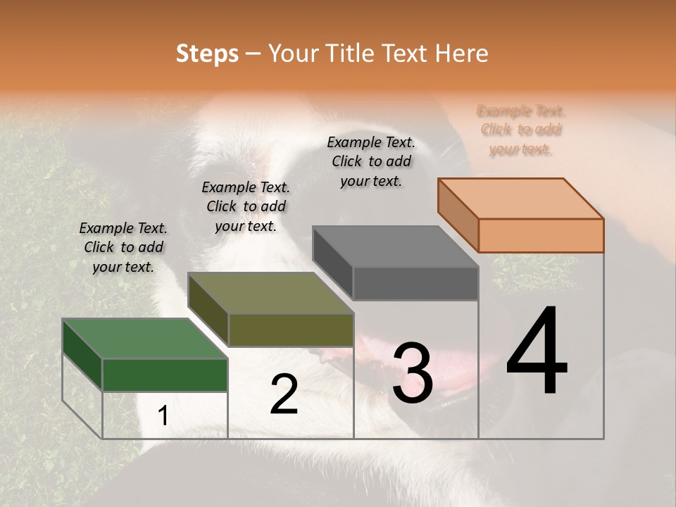 A Black And White Dog Sitting On Top Of A Lush Green Field PowerPoint Template