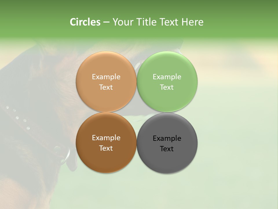 A Dog With It's Mouth Open Showing Teeth PowerPoint Template