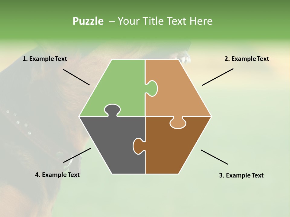A Dog With It's Mouth Open Showing Teeth PowerPoint Template