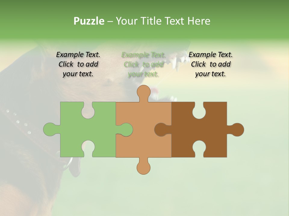 A Dog With It's Mouth Open Showing Teeth PowerPoint Template