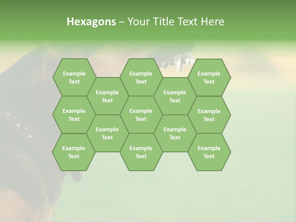 A Dog With It's Mouth Open Showing Teeth PowerPoint Template