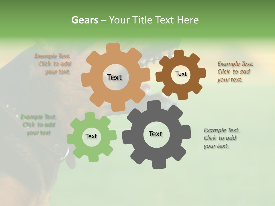 A Dog With It's Mouth Open Showing Teeth PowerPoint Template