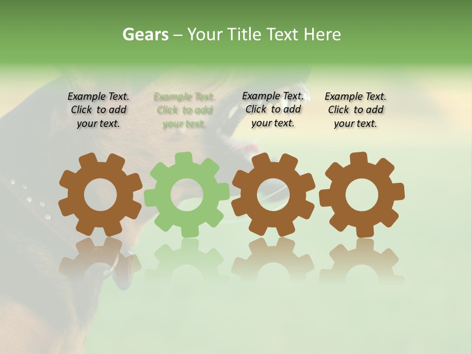 A Dog With It's Mouth Open Showing Teeth PowerPoint Template