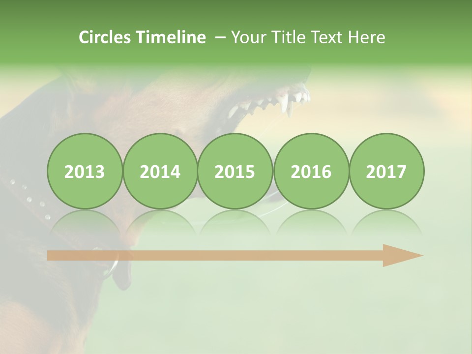 A Dog With It's Mouth Open Showing Teeth PowerPoint Template