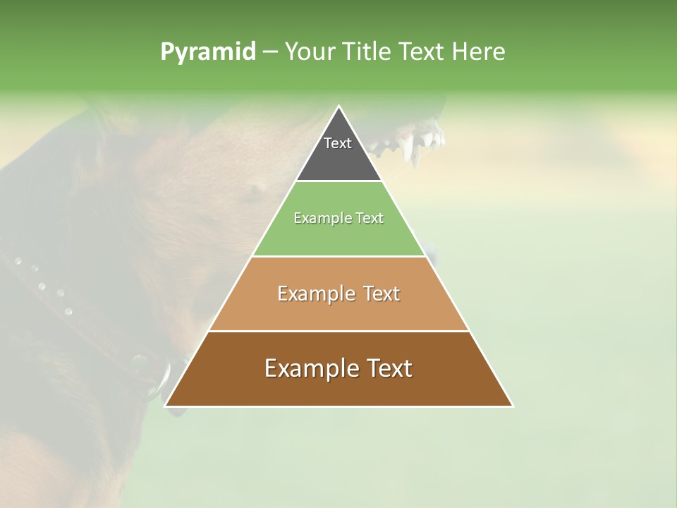 A Dog With It's Mouth Open Showing Teeth PowerPoint Template