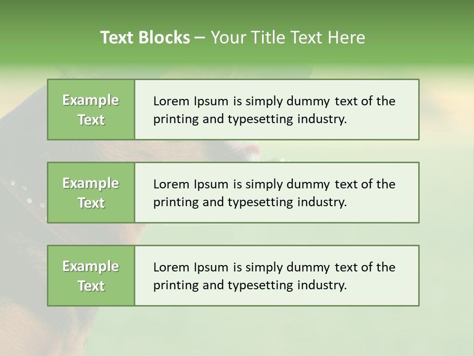 A Dog With It's Mouth Open Showing Teeth PowerPoint Template