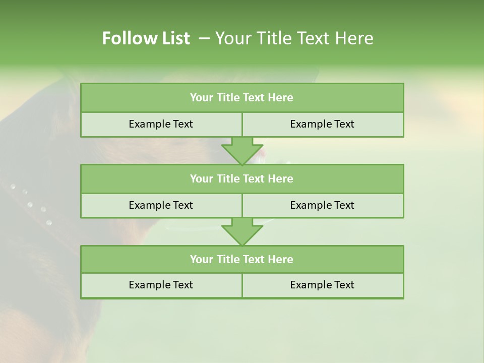 A Dog With It's Mouth Open Showing Teeth PowerPoint Template