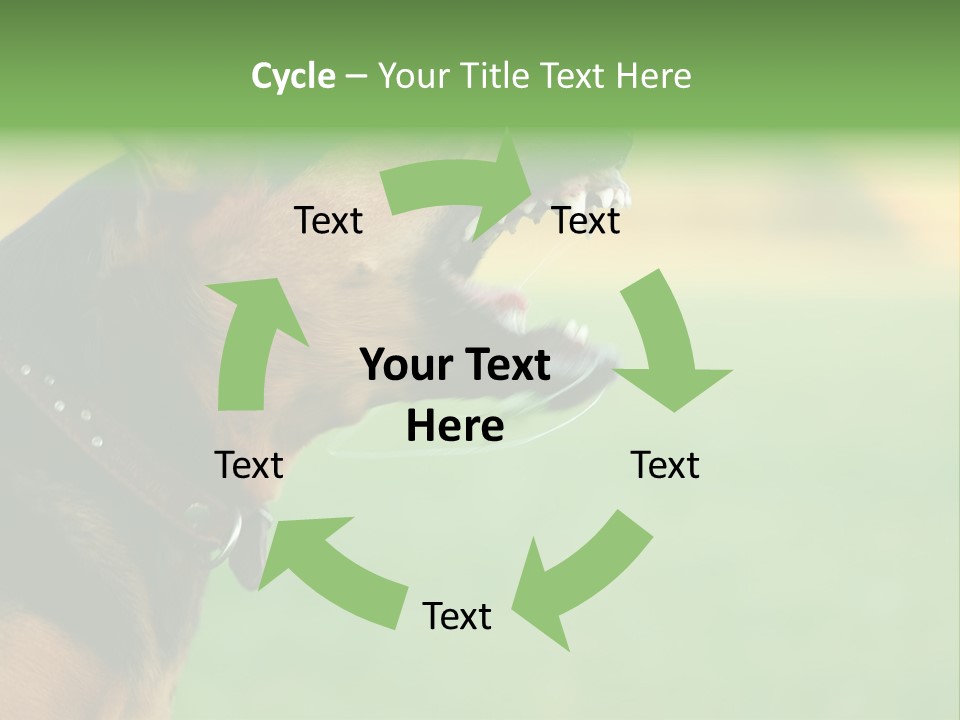 A Dog With It's Mouth Open Showing Teeth PowerPoint Template