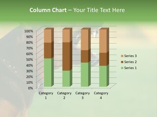 A Dog With It's Mouth Open Showing Teeth PowerPoint Template