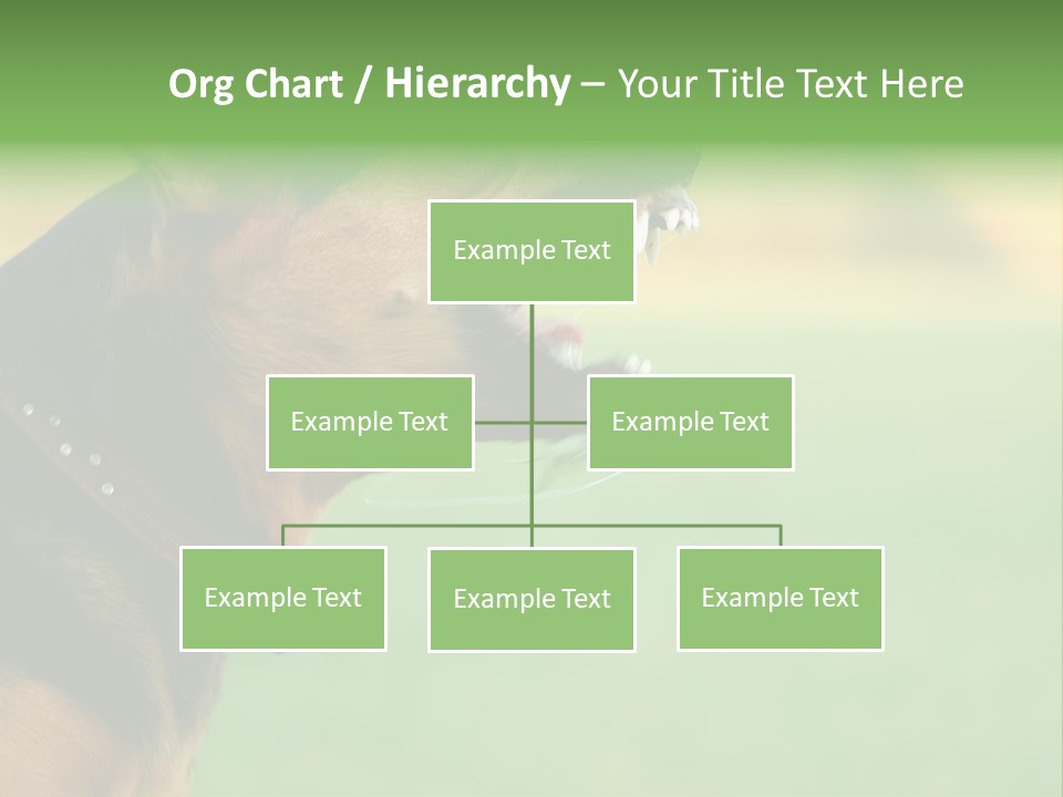 A Dog With It's Mouth Open Showing Teeth PowerPoint Template