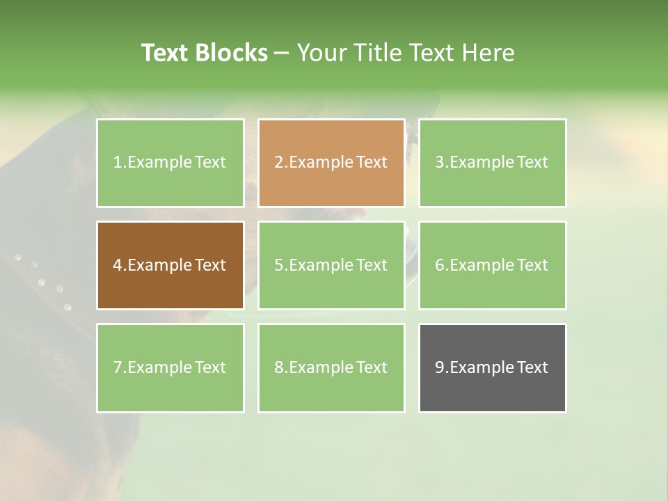 A Dog With It's Mouth Open Showing Teeth PowerPoint Template