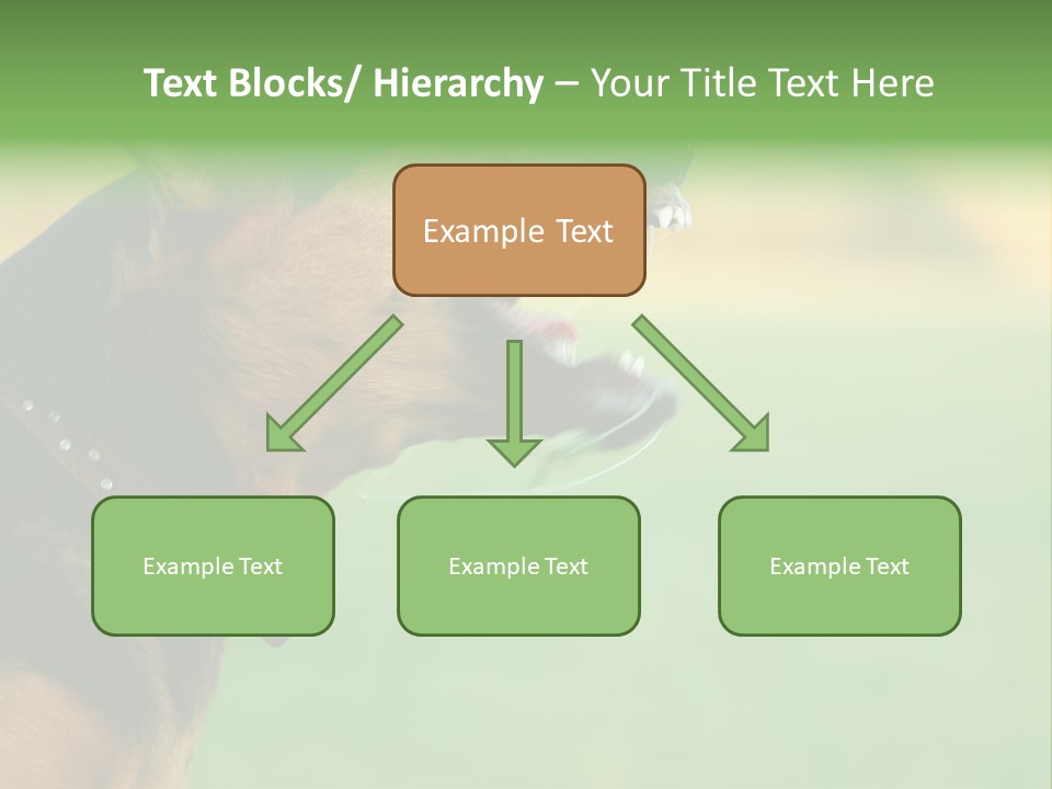 A Dog With It's Mouth Open Showing Teeth PowerPoint Template