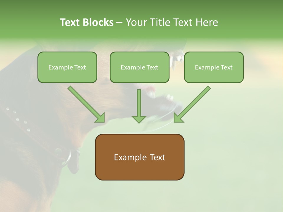 A Dog With It's Mouth Open Showing Teeth PowerPoint Template