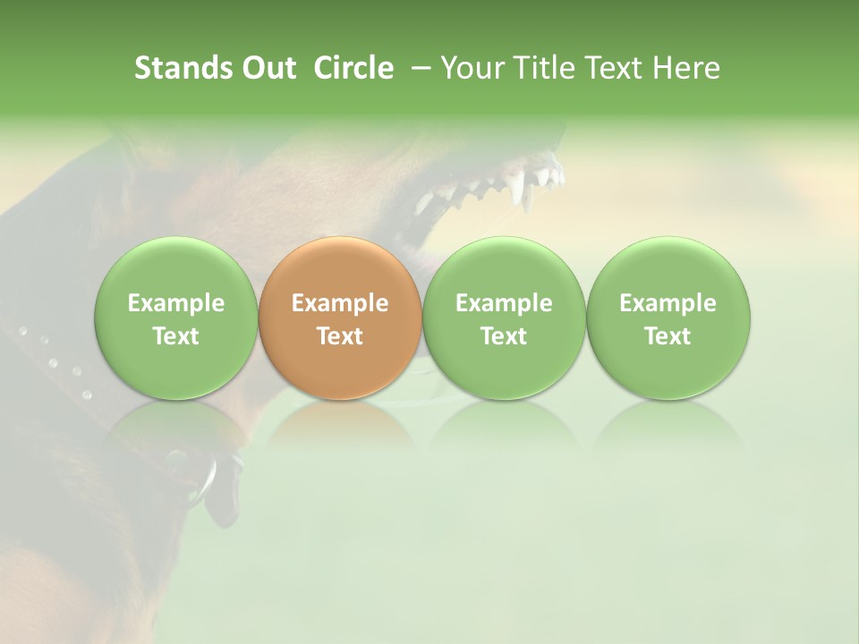 A Dog With It's Mouth Open Showing Teeth PowerPoint Template