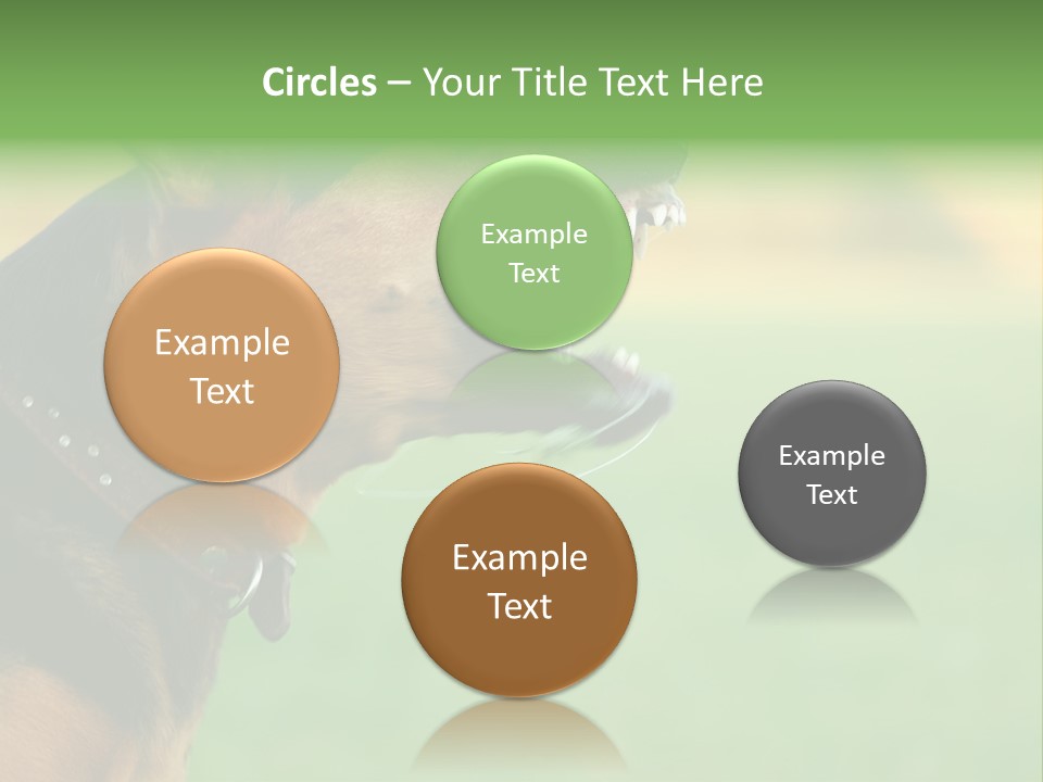 A Dog With It's Mouth Open Showing Teeth PowerPoint Template