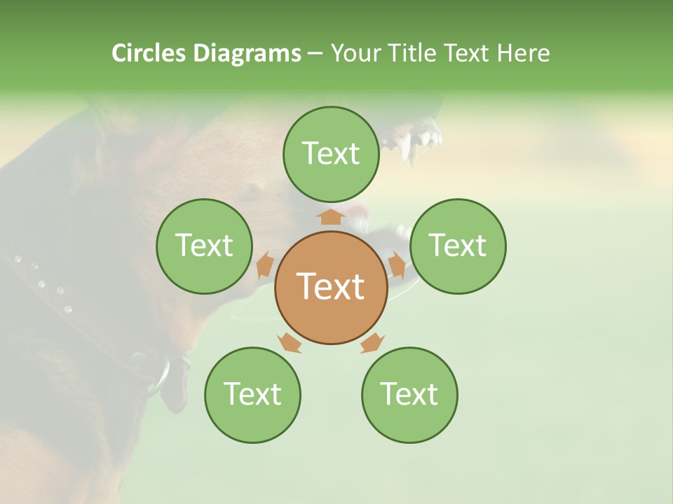 A Dog With It's Mouth Open Showing Teeth PowerPoint Template