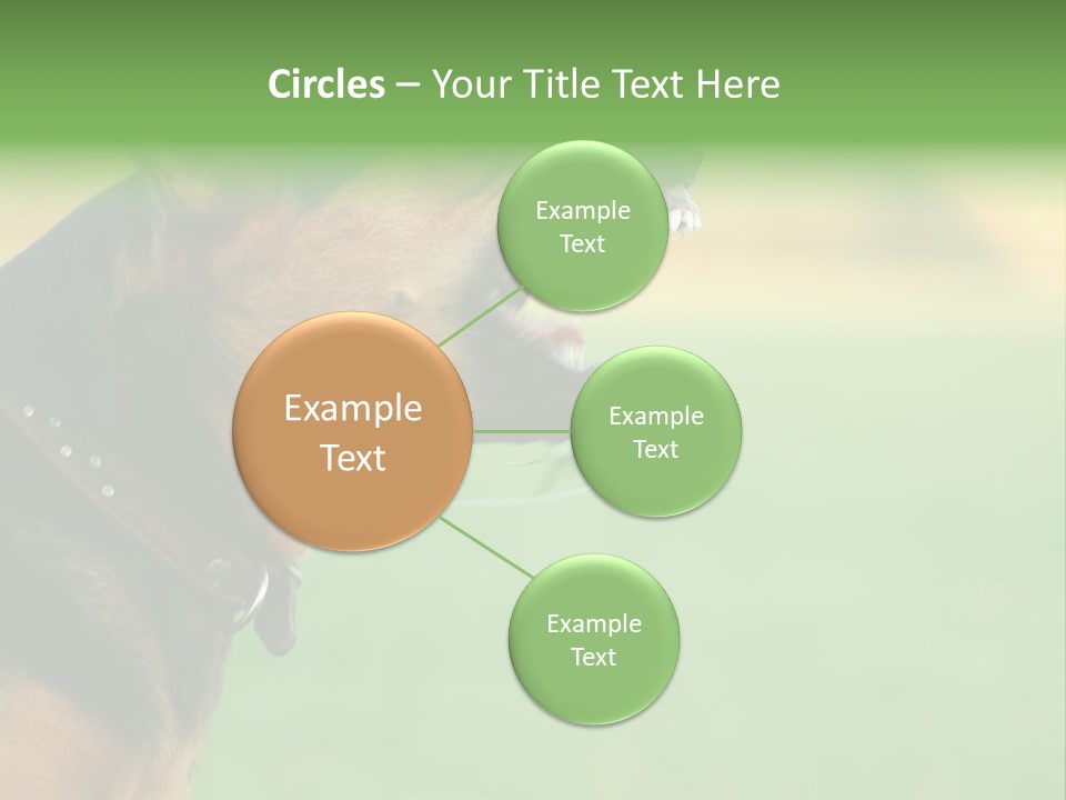 A Dog With It's Mouth Open Showing Teeth PowerPoint Template