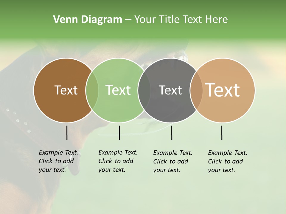 A Dog With It's Mouth Open Showing Teeth PowerPoint Template