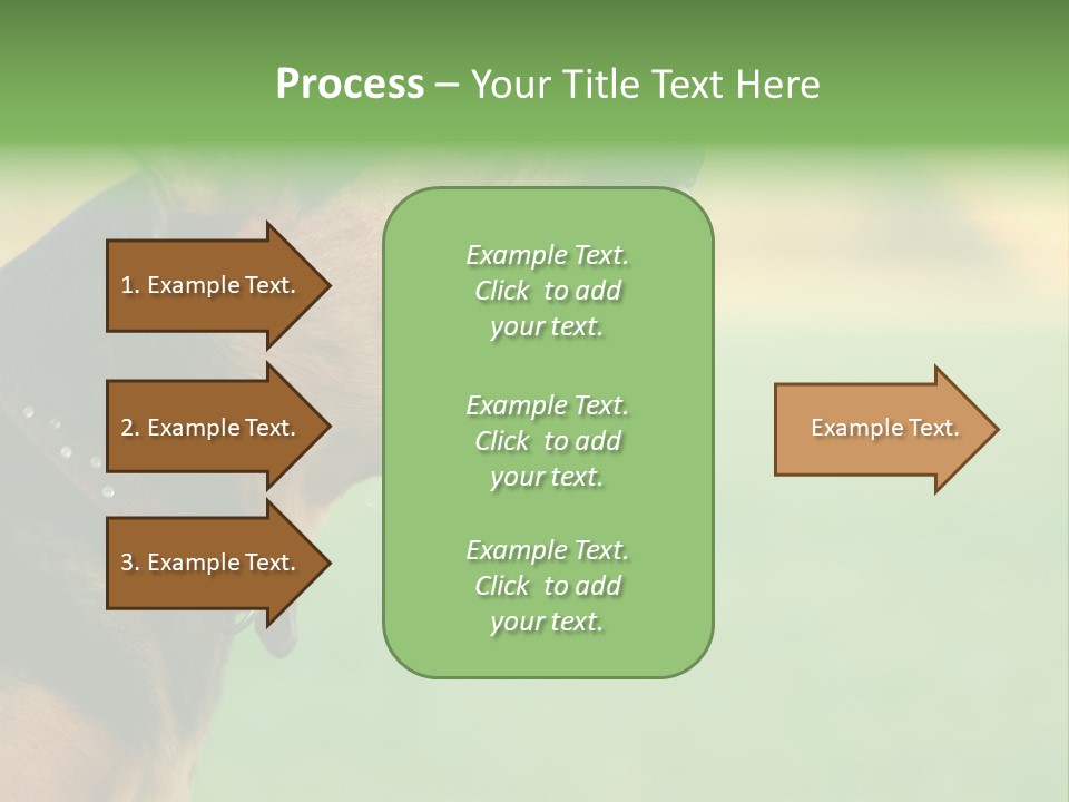 A Dog With It's Mouth Open Showing Teeth PowerPoint Template