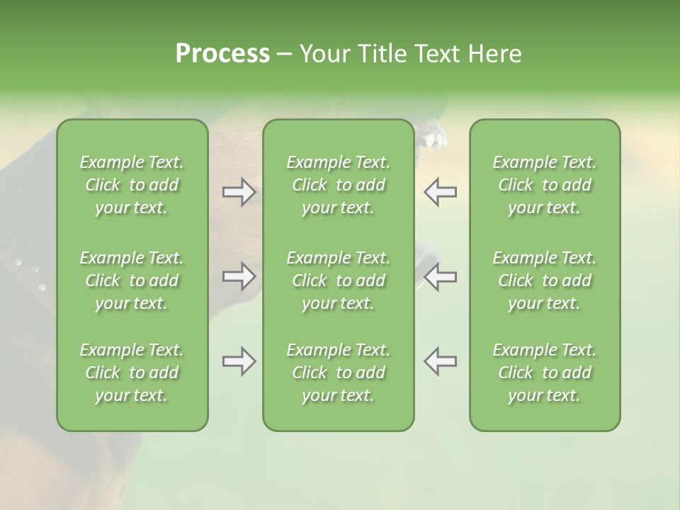 A Dog With It's Mouth Open Showing Teeth PowerPoint Template