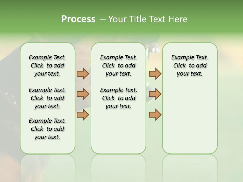 A Dog With It's Mouth Open Showing Teeth PowerPoint Template