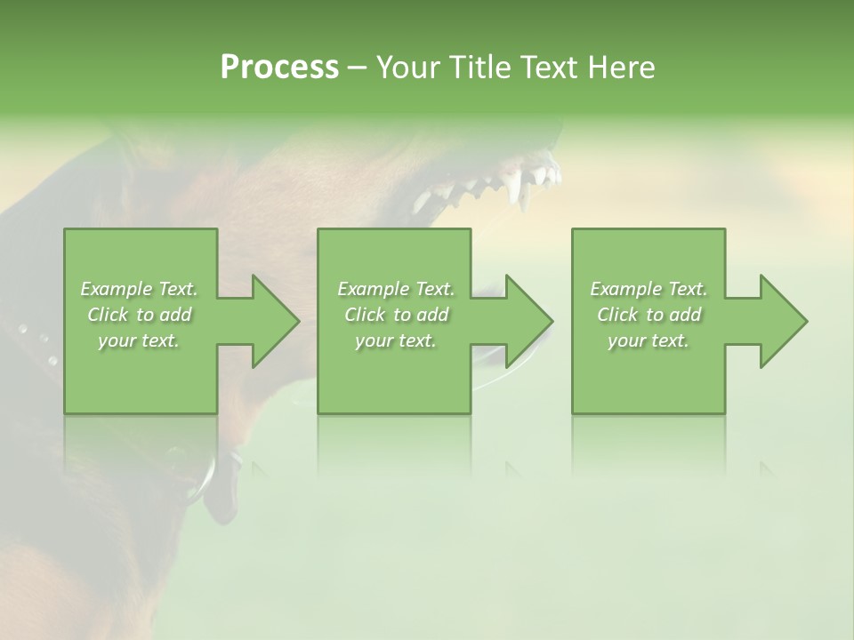 A Dog With It's Mouth Open Showing Teeth PowerPoint Template
