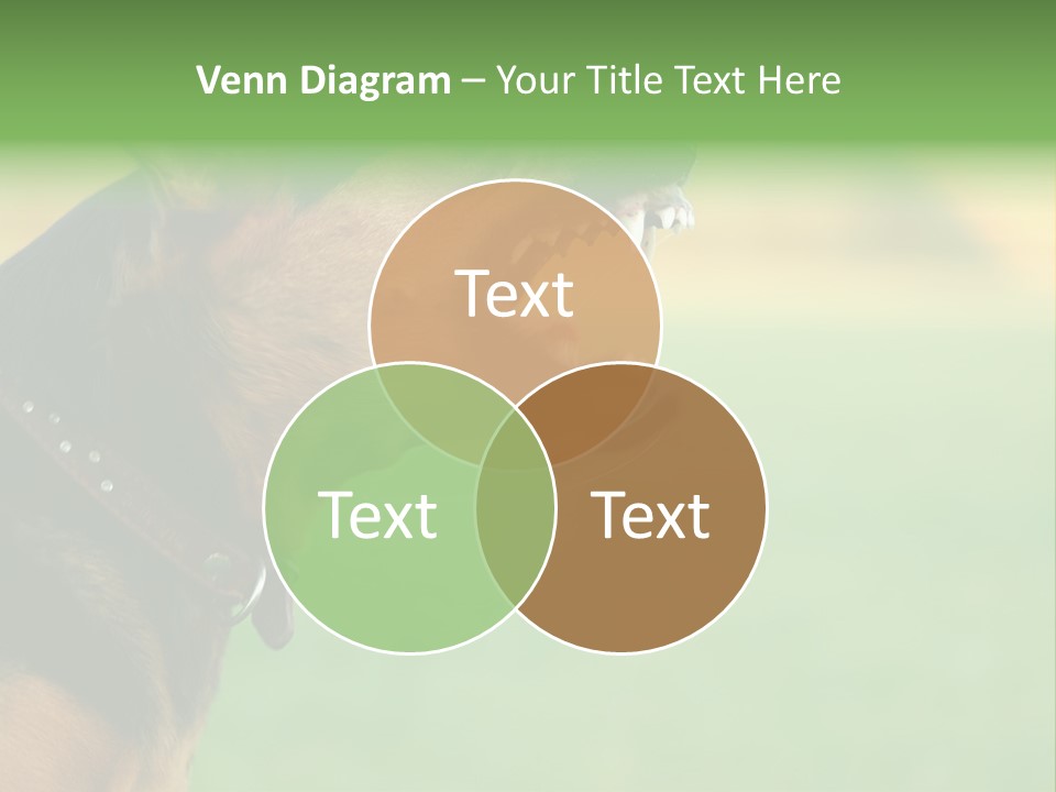 A Dog With It's Mouth Open Showing Teeth PowerPoint Template