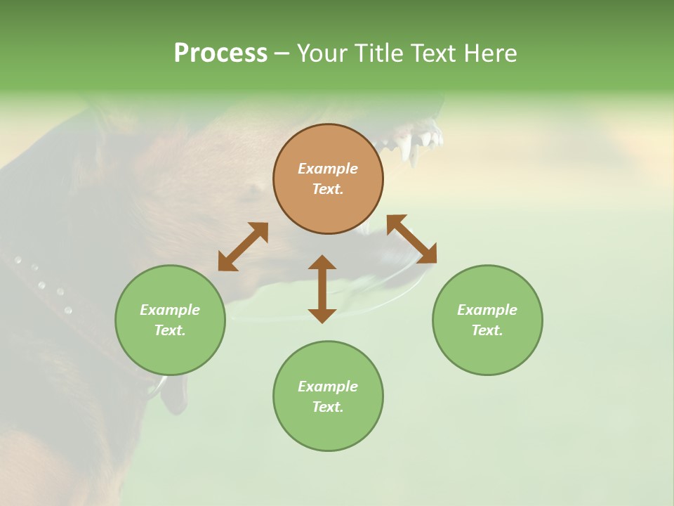 A Dog With It's Mouth Open Showing Teeth PowerPoint Template