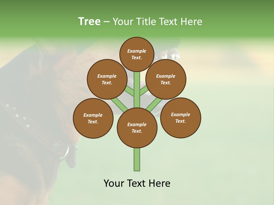 A Dog With It's Mouth Open Showing Teeth PowerPoint Template