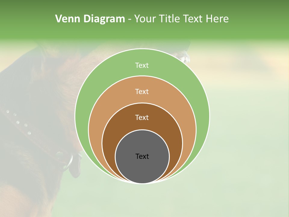 A Dog With It's Mouth Open Showing Teeth PowerPoint Template