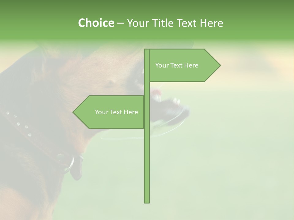 A Dog With It's Mouth Open Showing Teeth PowerPoint Template