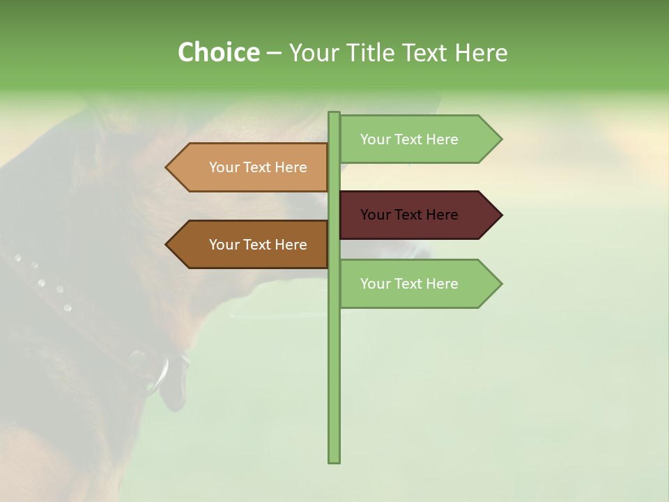 A Dog With It's Mouth Open Showing Teeth PowerPoint Template