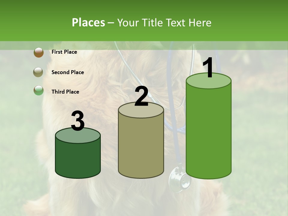 Dog With Stethoscope On Garden PowerPoint Template