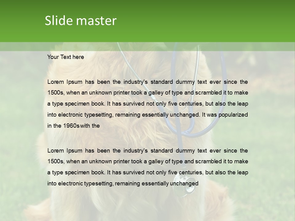 Dog With Stethoscope On Garden PowerPoint Template