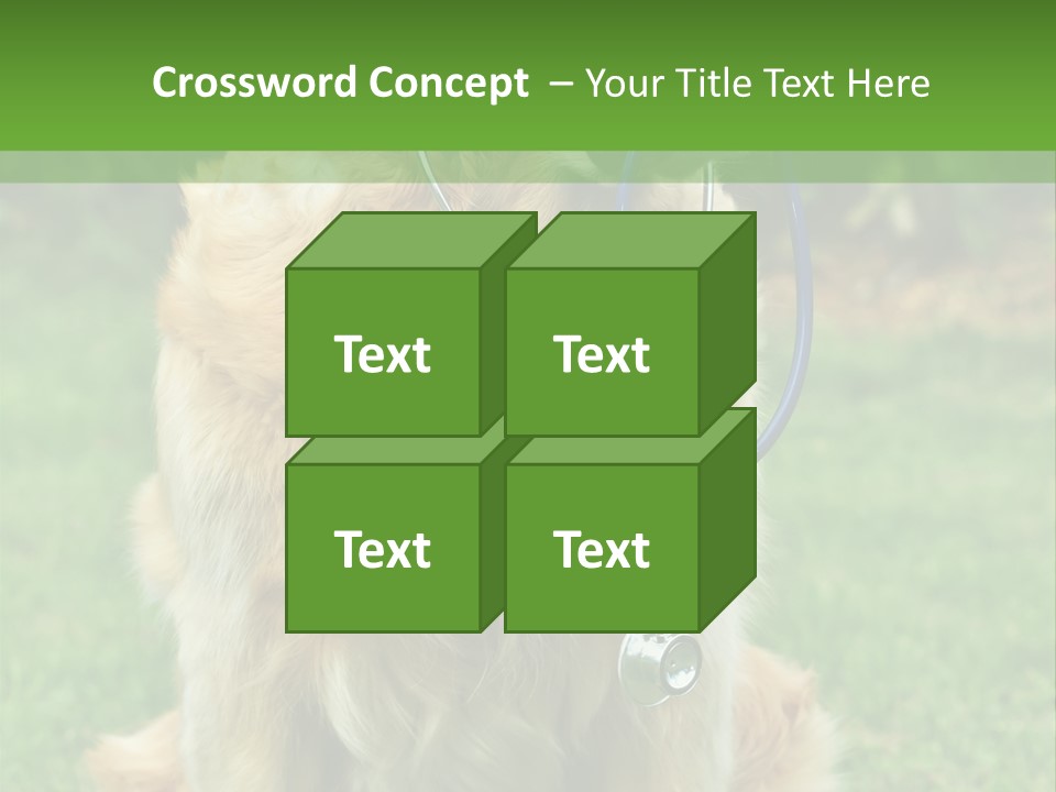 Dog With Stethoscope On Garden PowerPoint Template