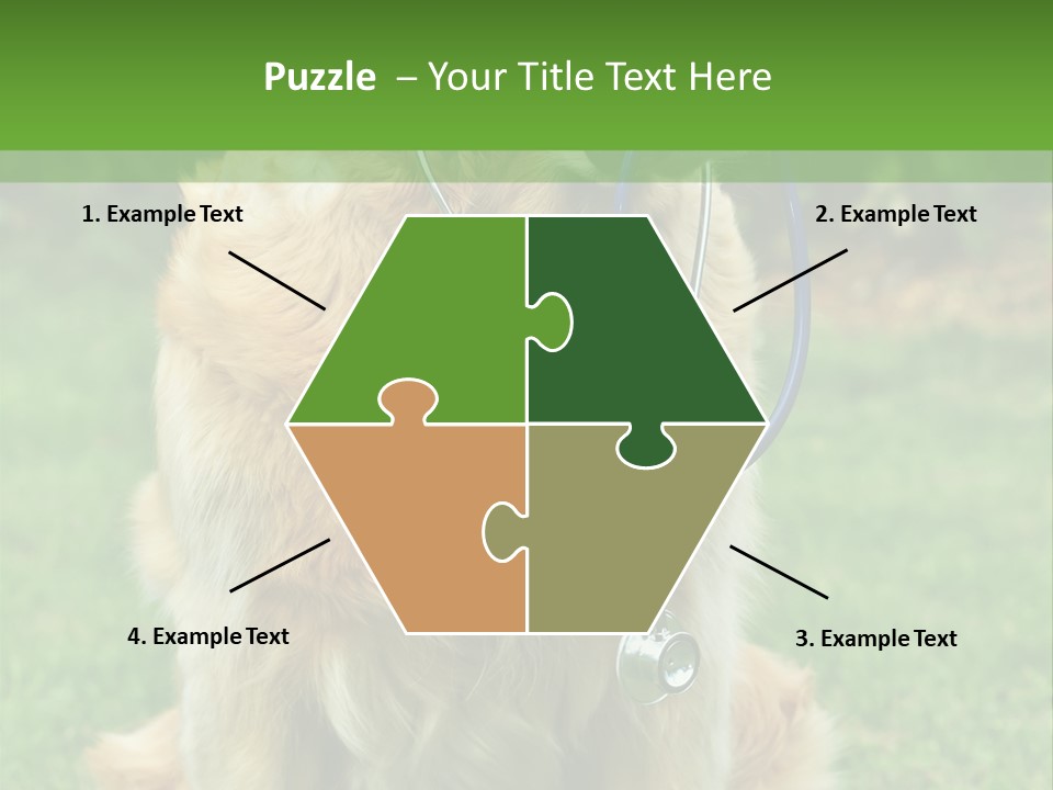 Dog With Stethoscope On Garden PowerPoint Template