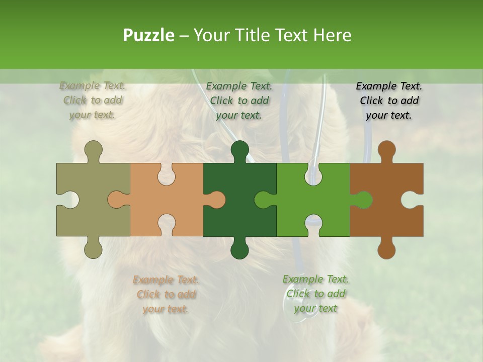 Dog With Stethoscope On Garden PowerPoint Template