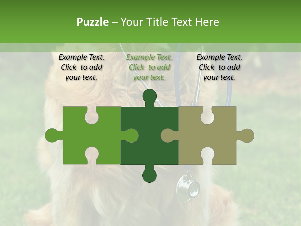 Dog With Stethoscope On Garden PowerPoint Template