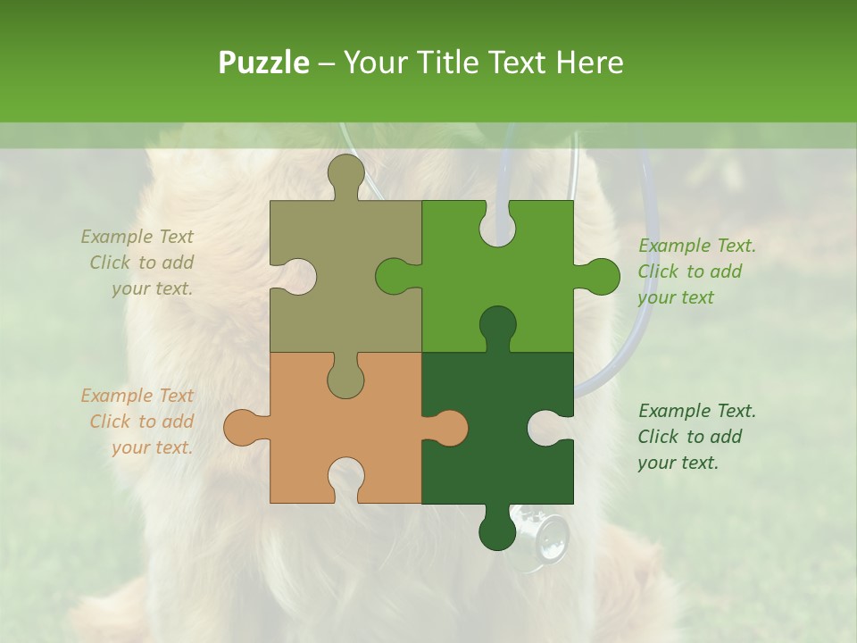 Dog With Stethoscope On Garden PowerPoint Template