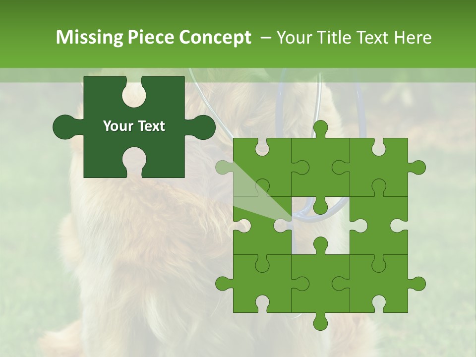 Dog With Stethoscope On Garden PowerPoint Template