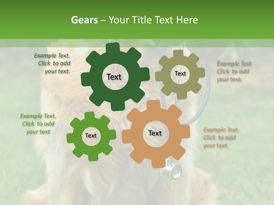Dog With Stethoscope On Garden PowerPoint Template